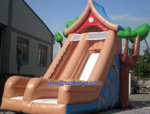 Giant Inflatable Water Slide with Cheap Price (A298)